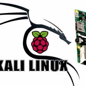 kali linux y rasp logos