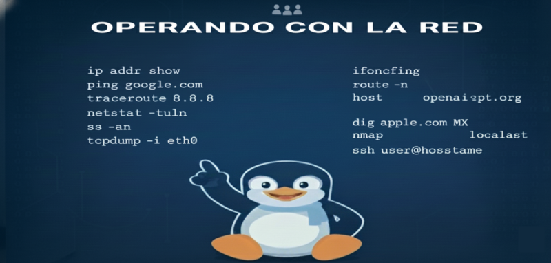 PortadaComandosLinux-OperandoconlaRed-6a1a25e3
